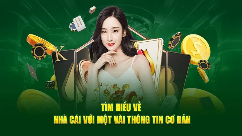 Giới thiệu về 88VN - Siêu nền tảng cá cược